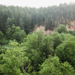 aaa