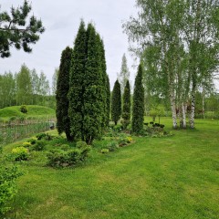 aaa