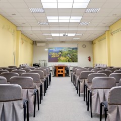 aaa