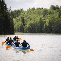 aaa