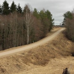 aaa
