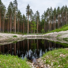 aaa