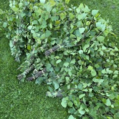 aaa