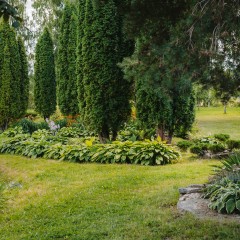 aaa